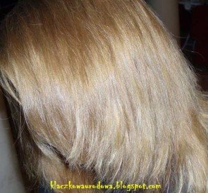 Garnier Olia 8 13 Champagne Blonde Hair Colar And Cut Style