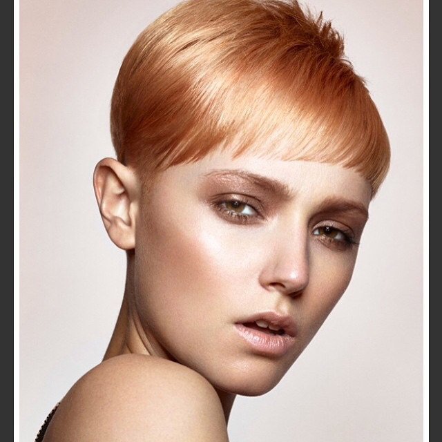 Apricot Hair Color