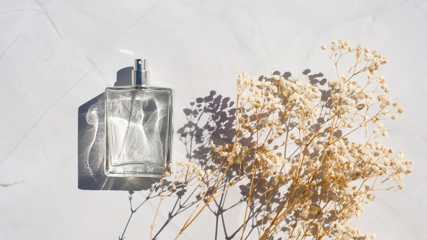 Unisex Perfume: 6 Gender Neutral Fragrances |  BRIGITTE.de
+2023