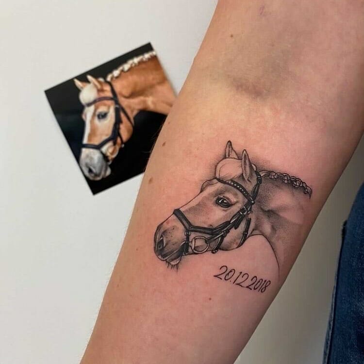 Aesthetic real horse tattoo