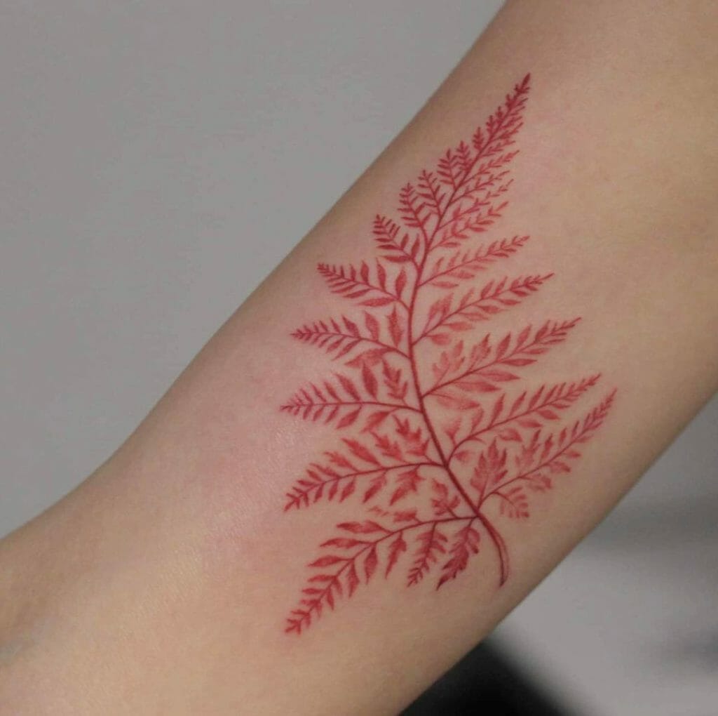 Colorful fern tattoo ideas