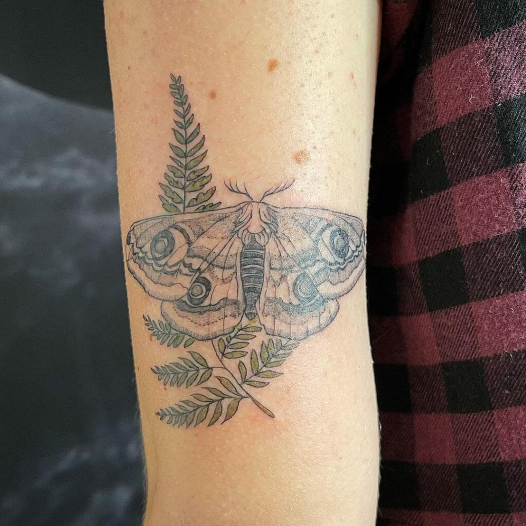 Unconventional fern tattoo design with a moth