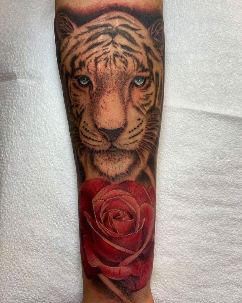 White tiger tattoos and red rose