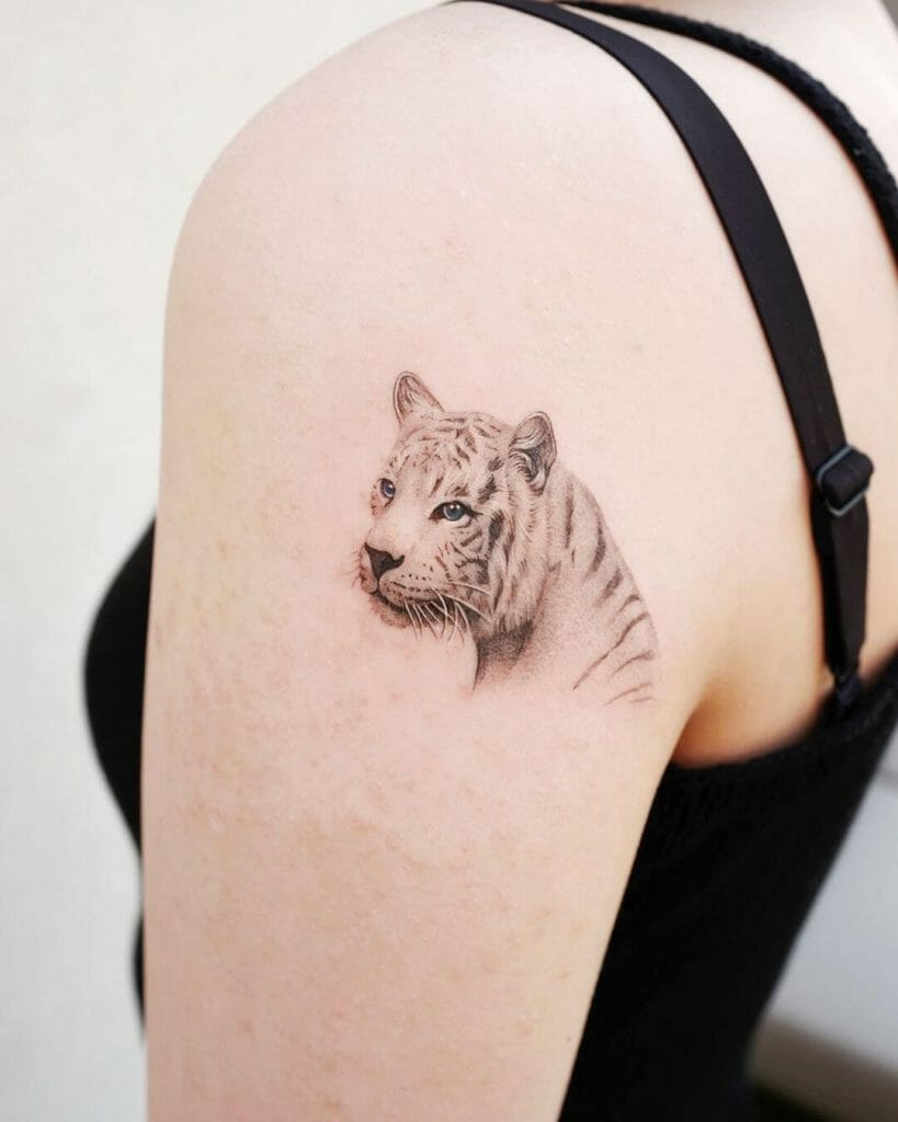 White tiger tattoos with black stripes