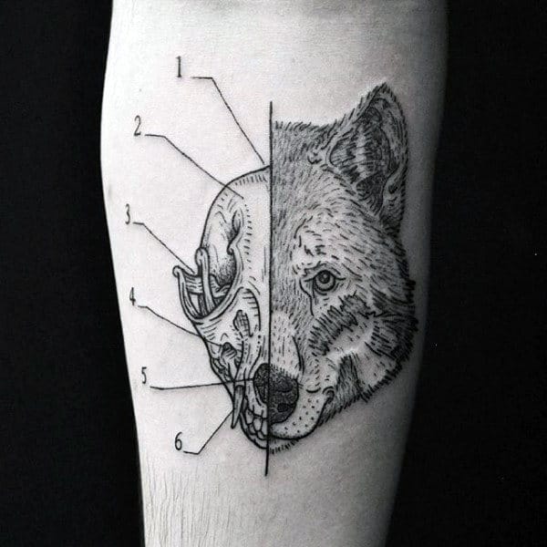 Wolf Skull Tattoo