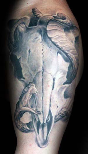 Bull Skull Tattoo