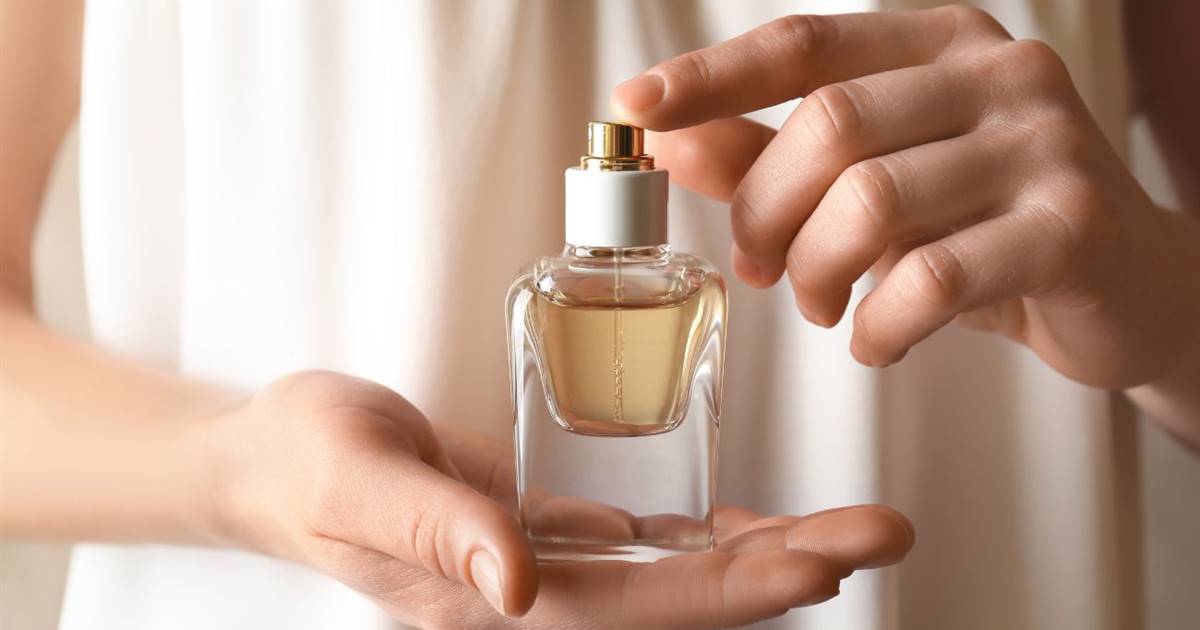 10 fresh women’s perfumes that last all day
+2023
