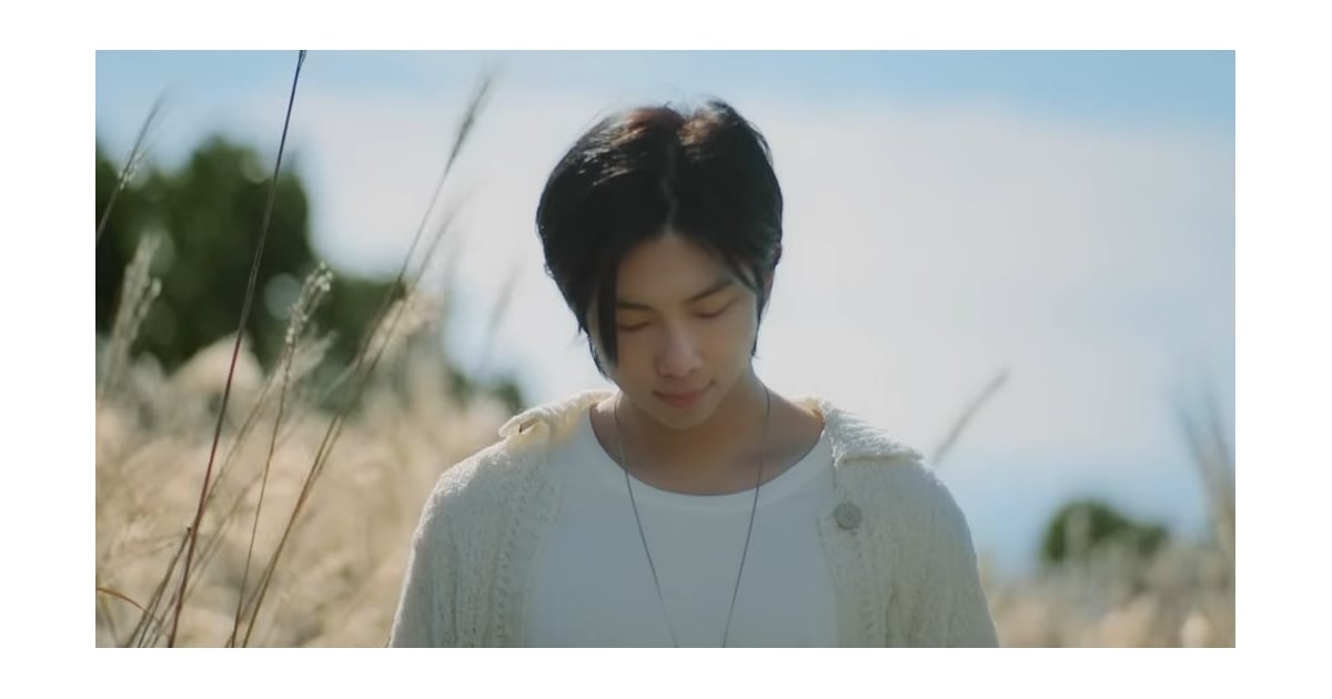 RM’s Wild Flower: Music Video, English Lyrics, Meaning

+2023