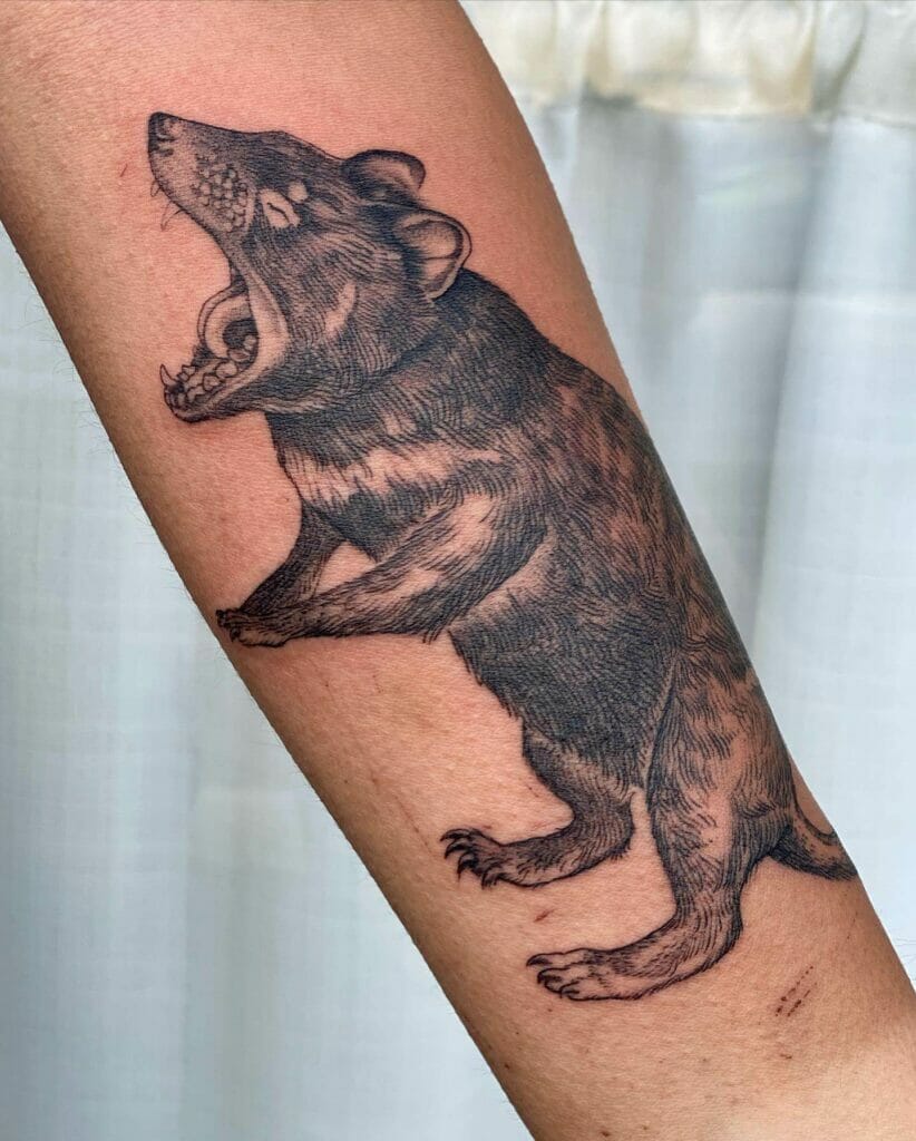 The closed eyes Tasmanian devil tattoo