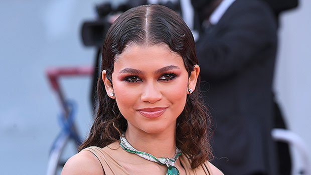 Zendaya’s mom responds to Tom Holland engagement speculation: video – Hollywood Life

 +2023