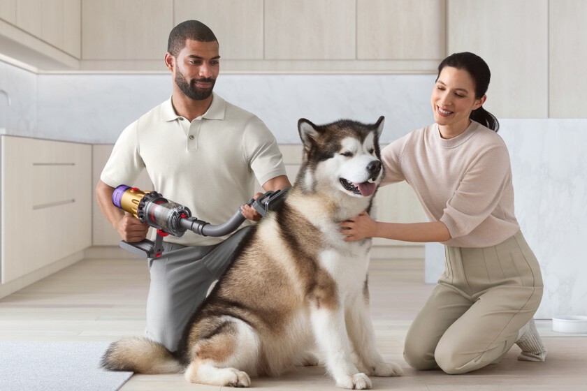 The Dyson head for dogs that you can put on your vacuum and bring life back without lint
+2023