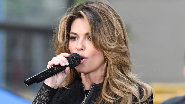 Shania Twain ‘flattened’ her chest to avoid alleged stepfather abuse – Hollywood Life

 +2023