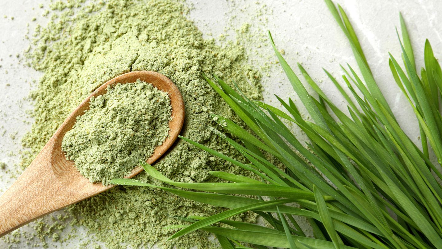 Barley grass powder: is the trend for fuller hair?
+2023