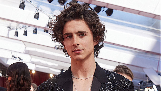 Timothee Chalamet takes a shirtless selfie after ‘Dune 2’ wraps filming – Hollywood Life

 +2023