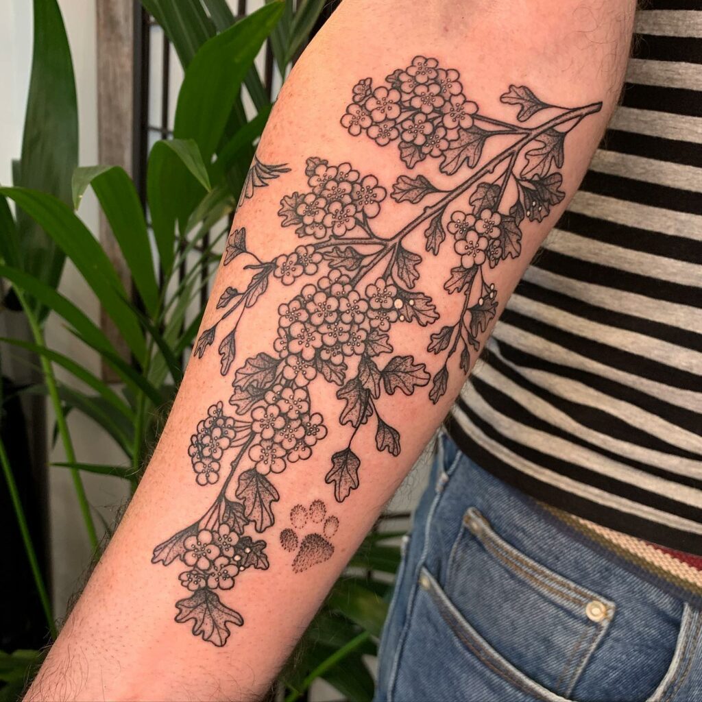 Amazing hawthorn tattoo