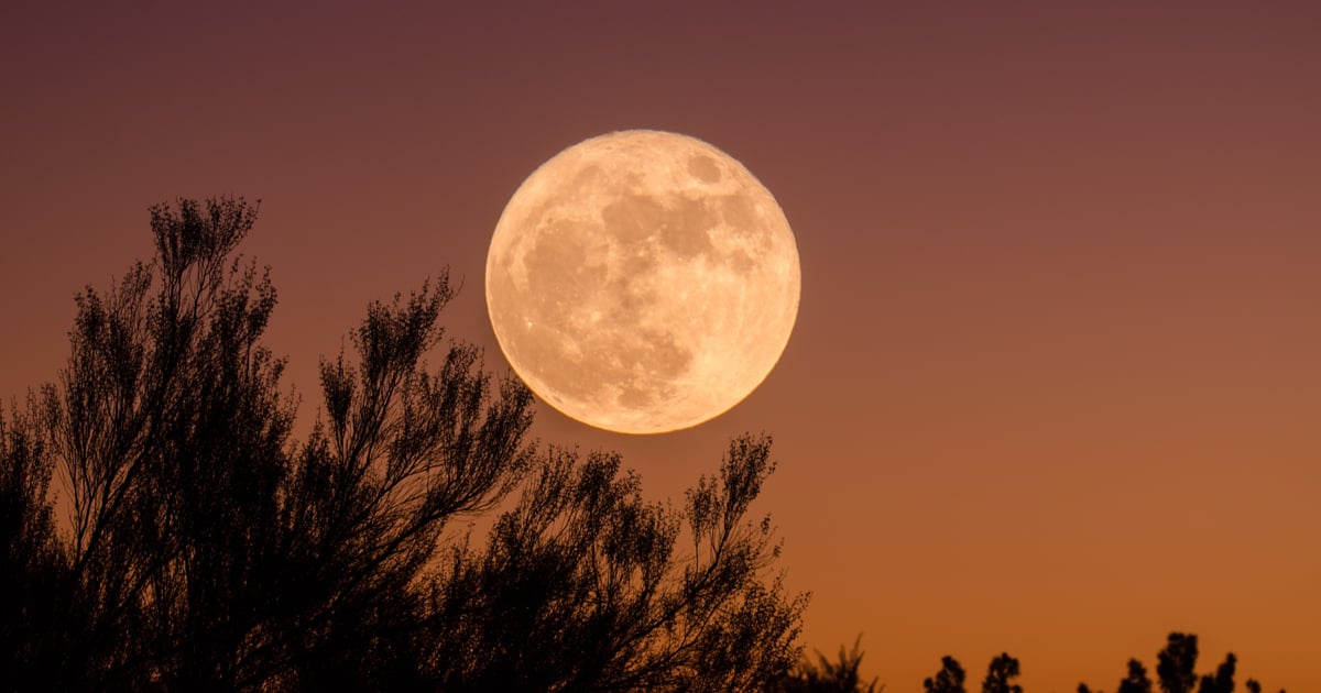 Wolf Moon January 2023 Spiritual Significance

+2023