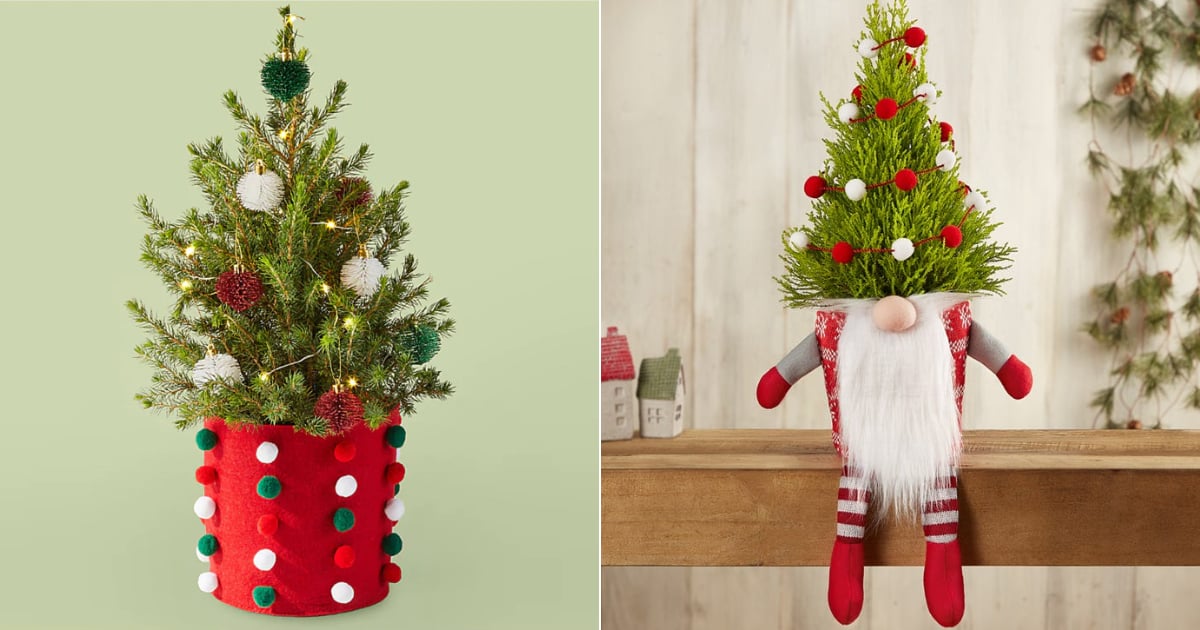 Best Living Desktop Christmas Trees |  2022

+2023