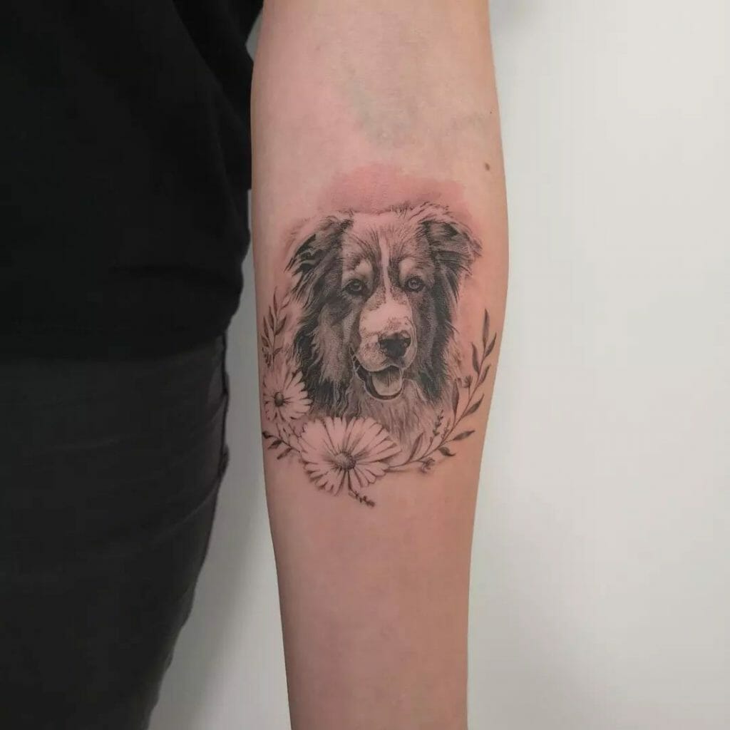 Australian shepherd tattoo