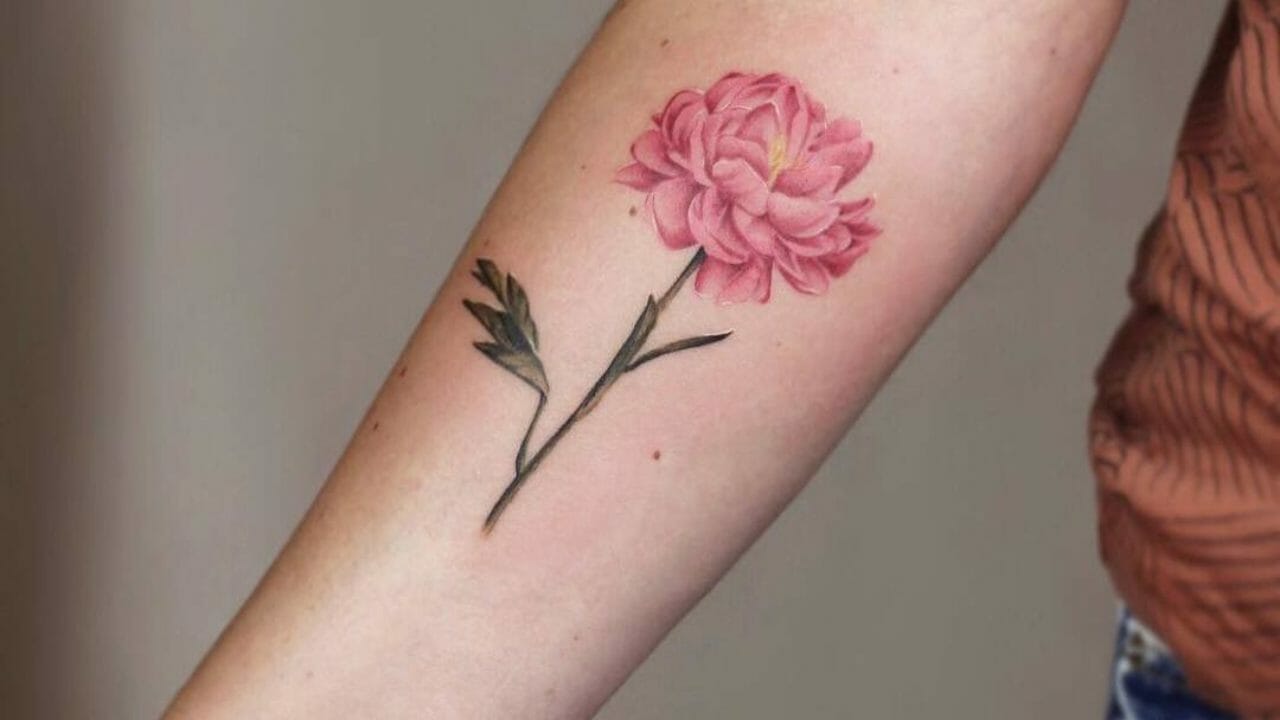 101 Best Botanical Tattoo Ideas You Have To See To Believe!

+2023