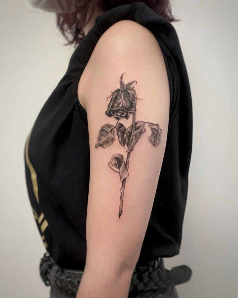 Dead Rose Tattoo