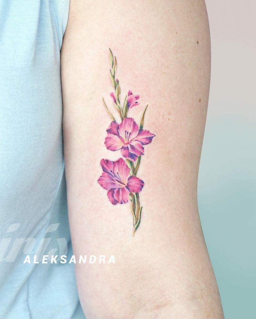 Gladiolus August Birth Flower Tattoos Ideas