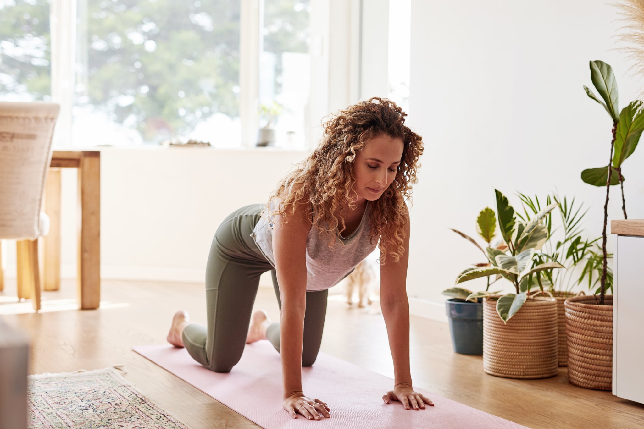 Shot of young woman in cat cow pose practicing yoga at home