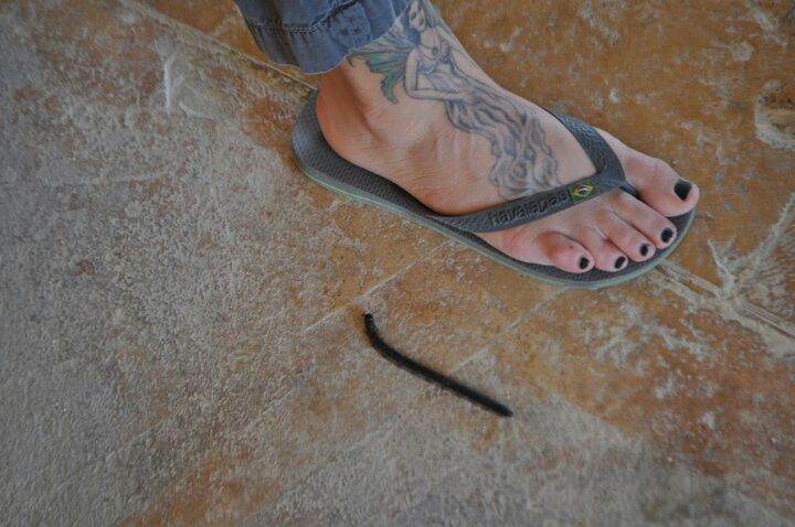 Jillian Michael's foot tattoo