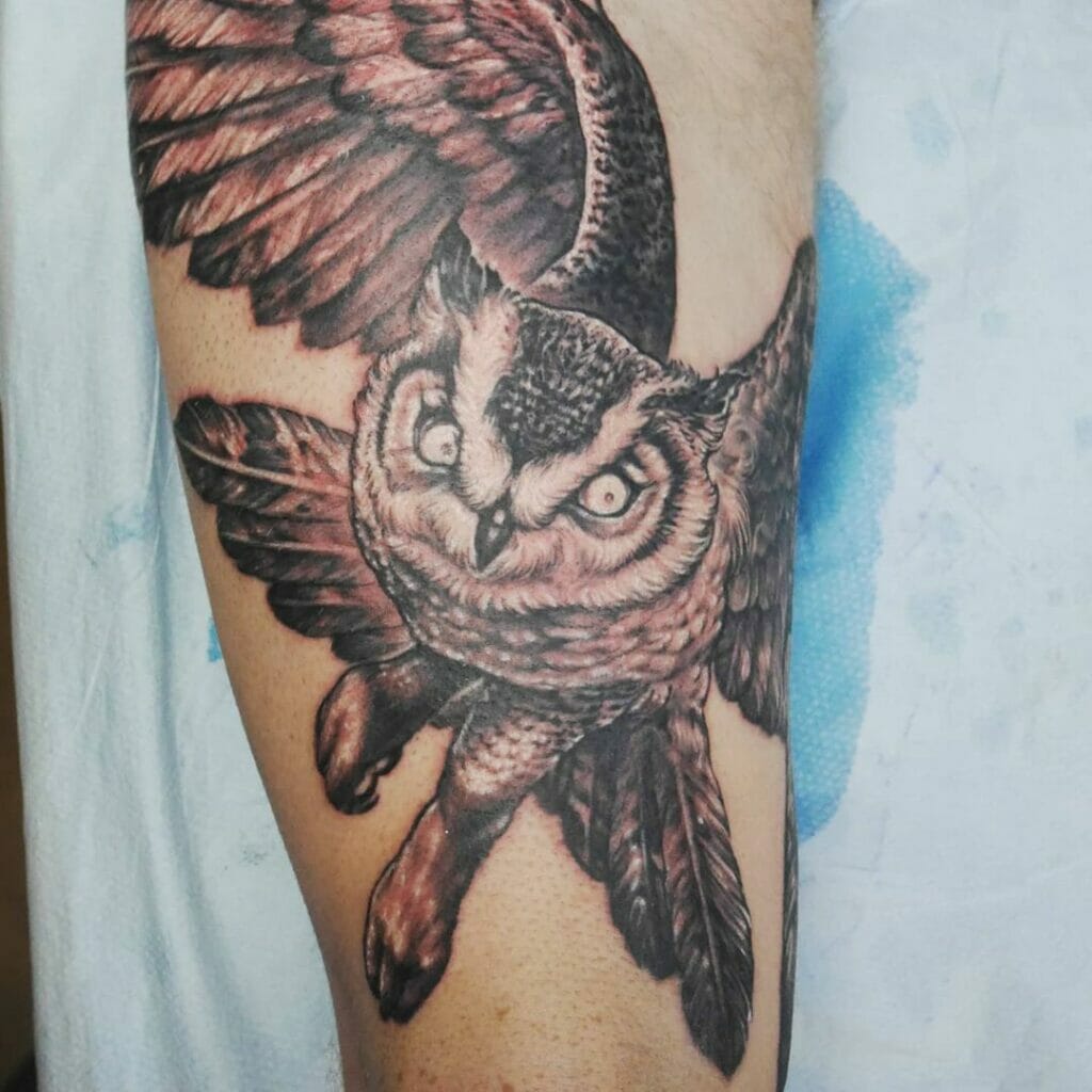 Realistic owl tattoo version