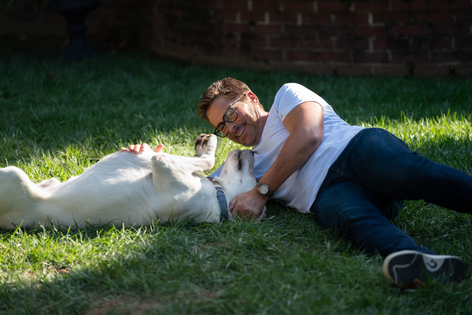 Dog Gone Starring Rob Lowe Release Date, Cast, Synopsis, Trailer and More

+2023