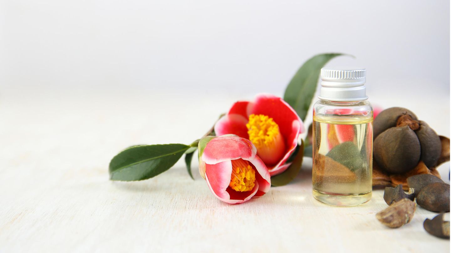 Camellia oil: What can the beauty elixir do?
+2023